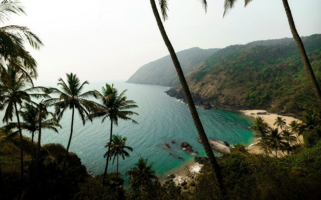 The New Global Indian’s Goa: Analysing North Goa’s Ascent into a Luxury Enclave