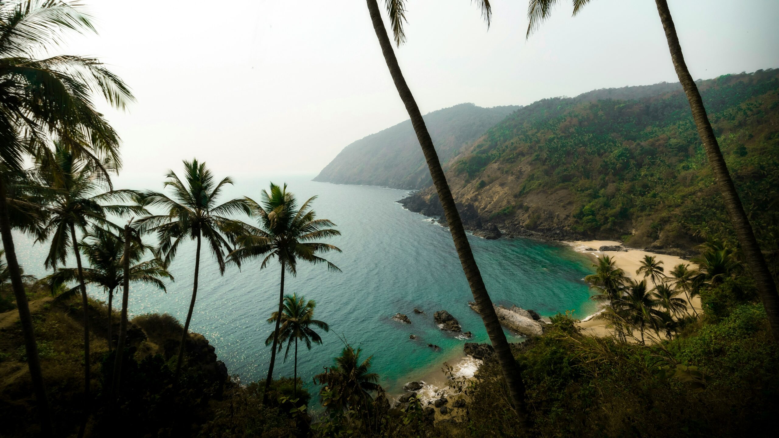 chirayu-sharma-Mth_sScnTn4-unsplash