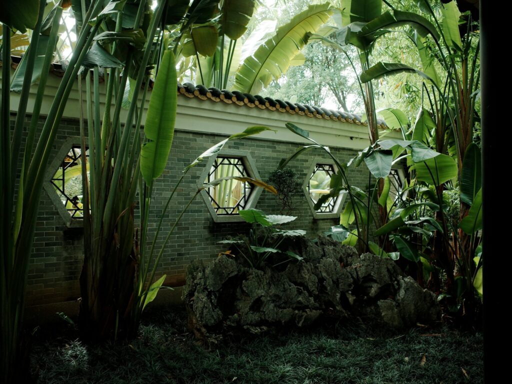 Hidden stealth wealth private estates in Goa for Indias ultra rich elites. Source: Unsplash