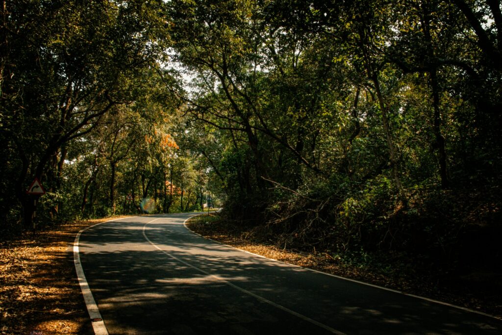 Road winding through the forests of North Goa.