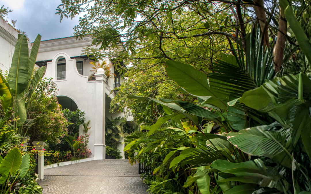 How to Buy an Estate or Mansion in Goa