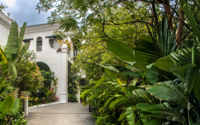 How to Buy an Estate or Mansion in Goa